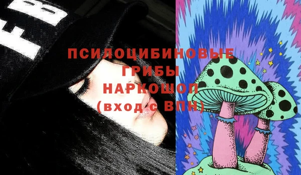 крисы Абаза