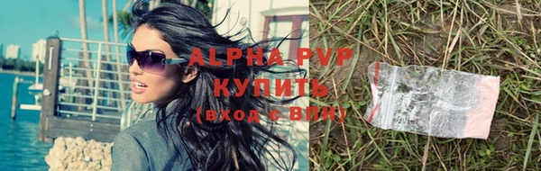 крисы Абаза