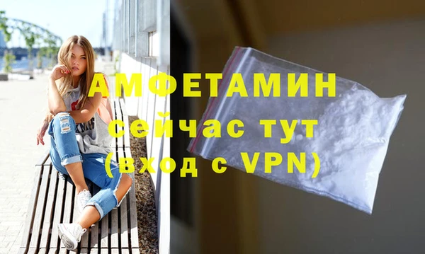 крисы Абаза