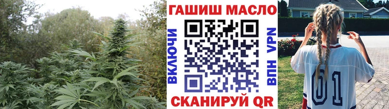 цены   Ковров  hydra вход  ТГК концентрат 