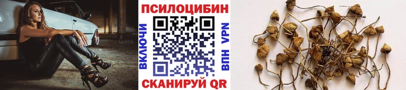 Галлюциногенные грибы Magic Shrooms  магазин    Ковров 